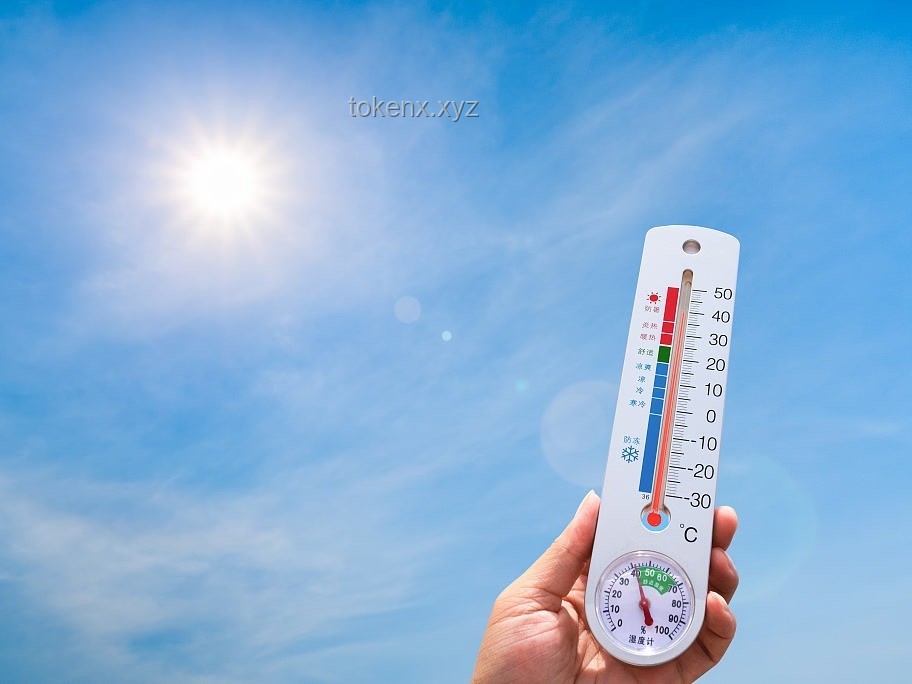 热浪来袭：全球不同城市高温天气对比分析